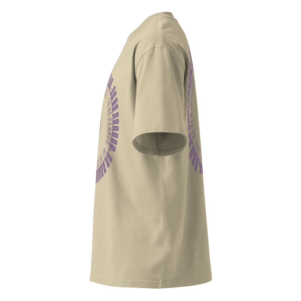 Be Feared Be U – Organic Oversized Tee in Stone, left side view